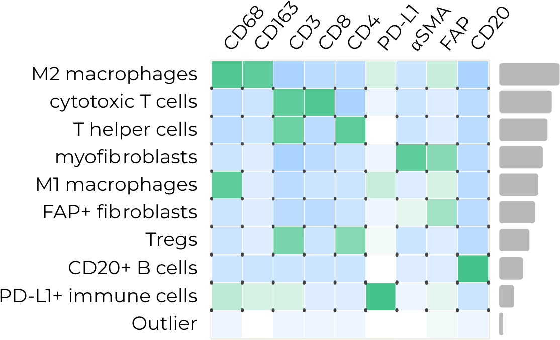Cell phenotyping analysis showing marker expression across 16 cell types