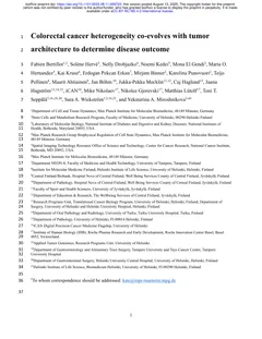 First page of the preprint Colorectal cancer heterogeneity co-evolves with tumor architecture to determine disease outcome